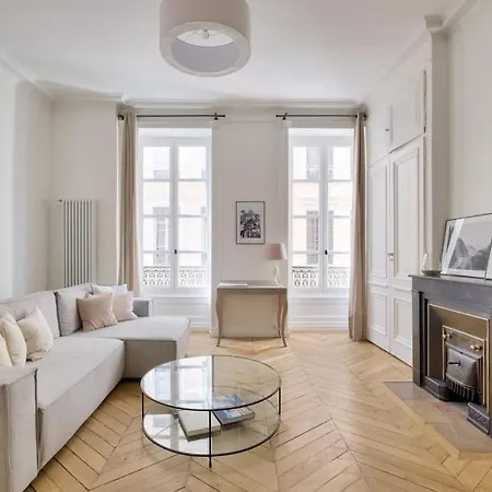 Apartment Renovated 1br Flat Near L Pradel Metro Station Lyon